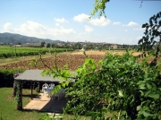 View of Torgiano